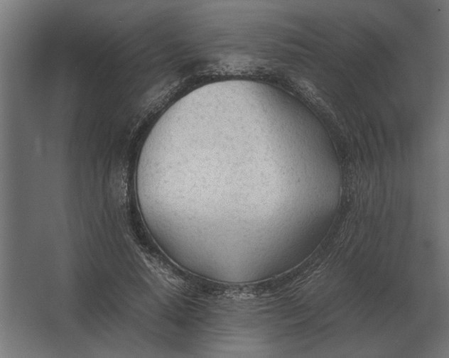 X0000067520640200604211818