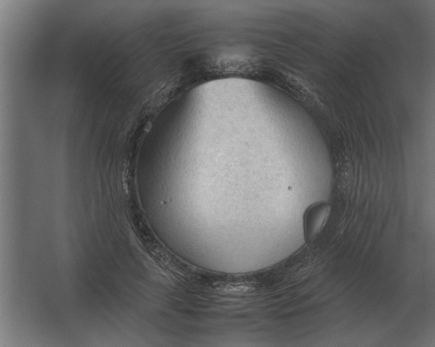 X0000067520643200604211818