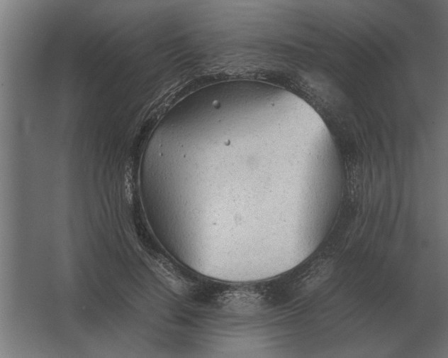 X0000067520644200604211818