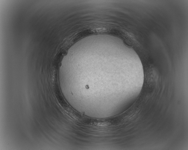 X0000067520645200604211818