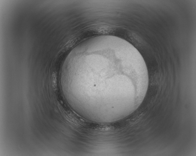 X0000067520646200604211818