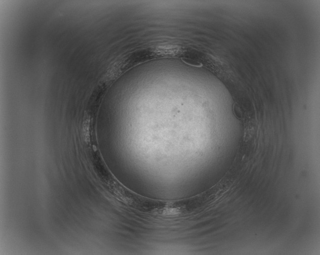 X0000067520647200604211818