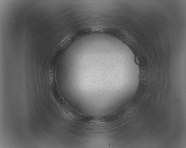 X0000067520648200604211818