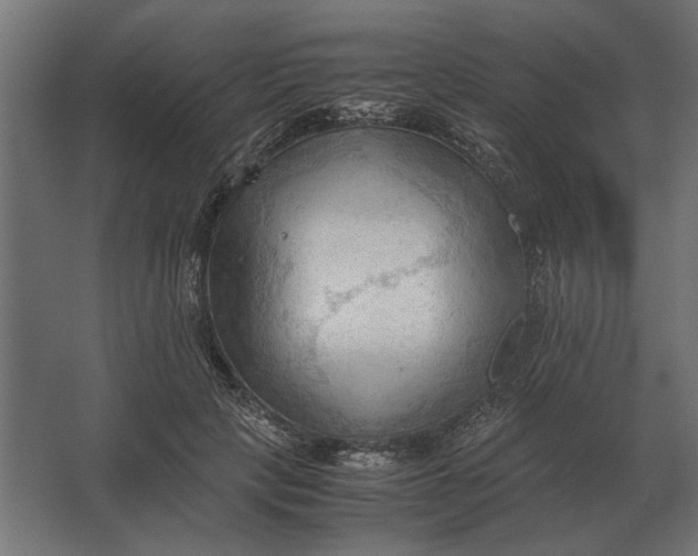 X0000067520649200604211818