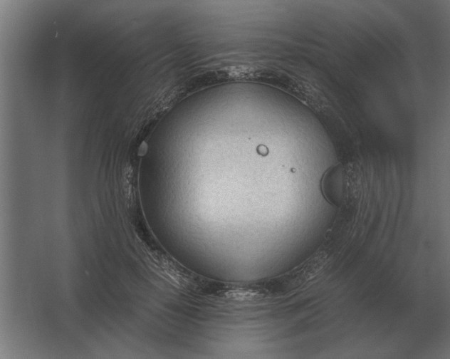 X0000067520650200604211818