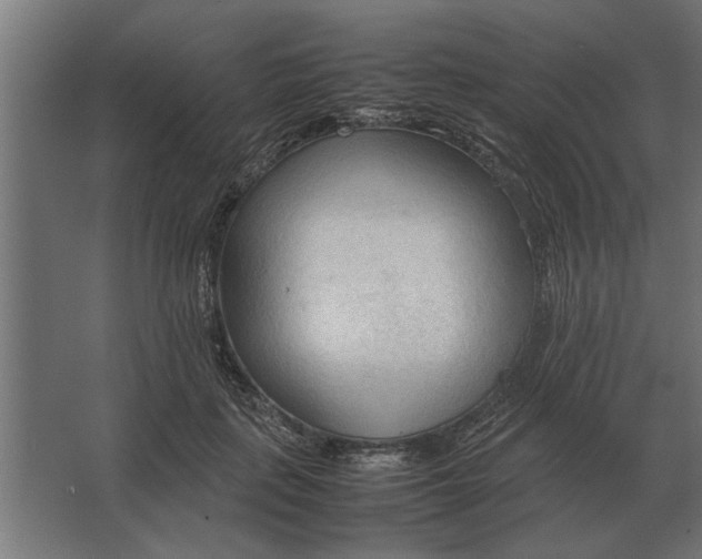 X0000067520651200604211818