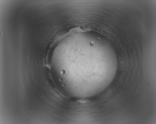 X0000067520654200604211818