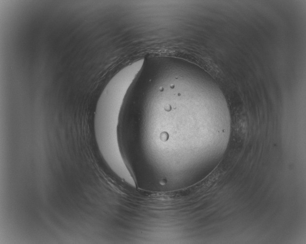 X0000067520658200604211818