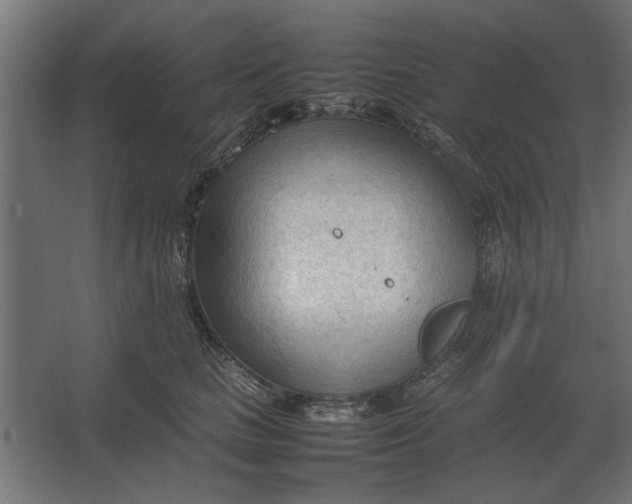 X0000067520661200604211818