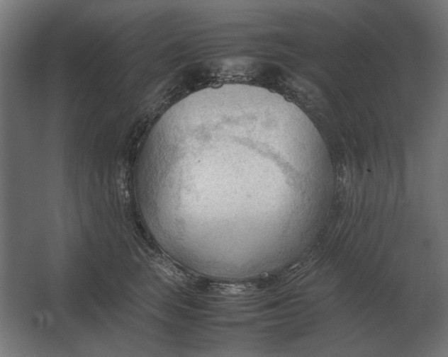 X0000067520663200604211818