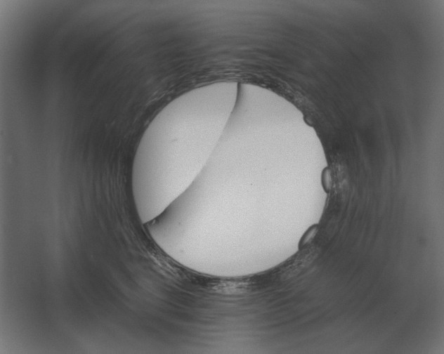 X0000067520664200604211818