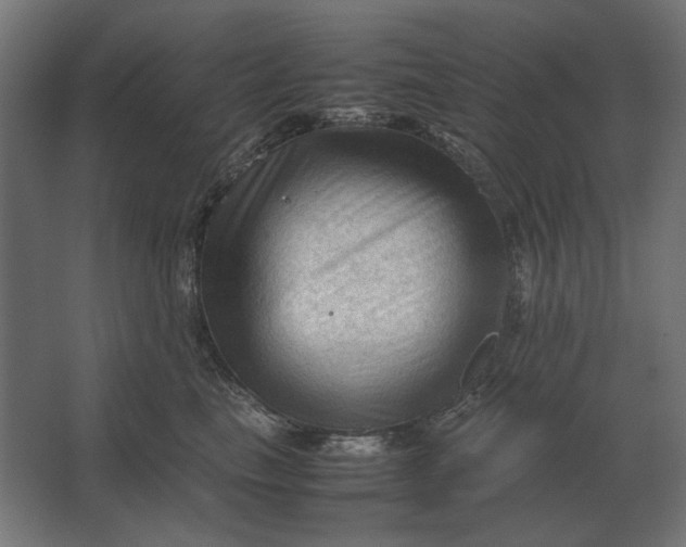 X0000067520665200604211818