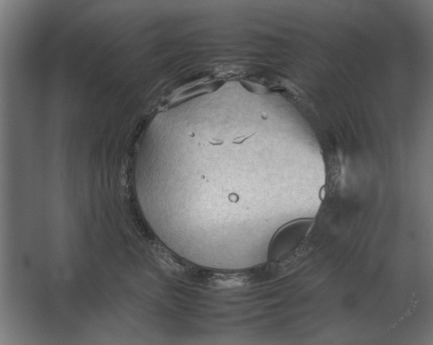 X0000067520667200604211818