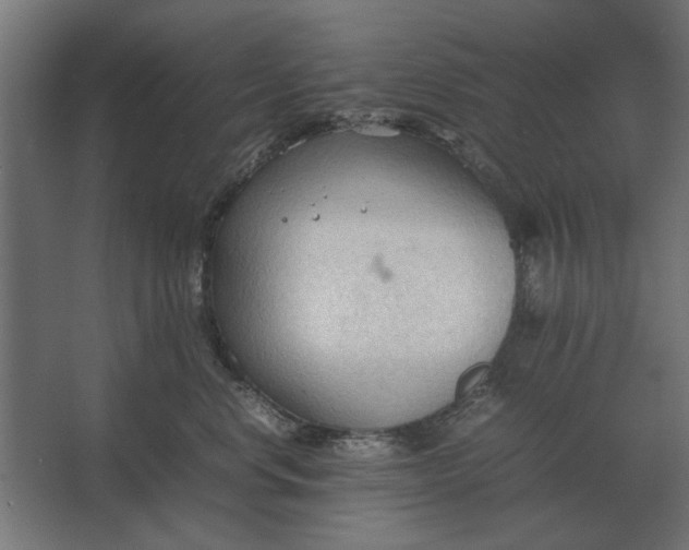 X0000067520668200604211818