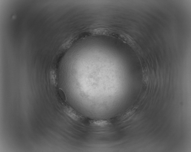 X0000067520669200604211818