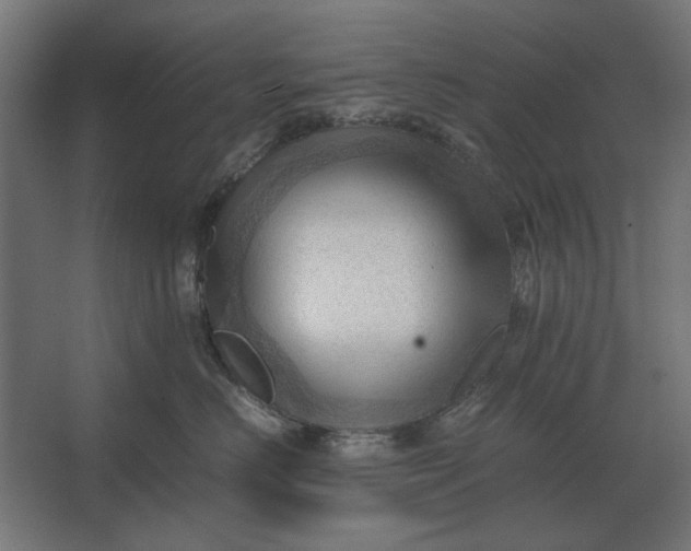 X0000067520670200604211818