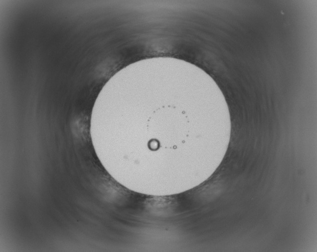 X0000067520672200604211818