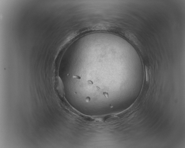 X0000067520675200604211818