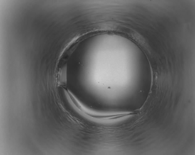 X0000067520676200604211817