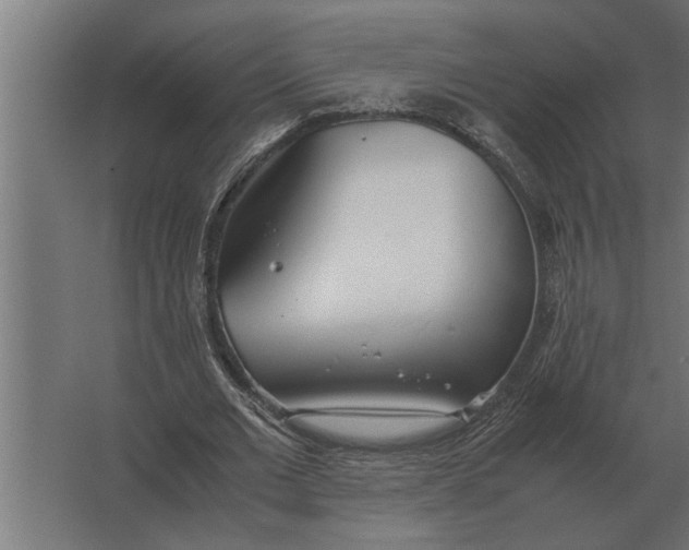 X0000067520677200604211817