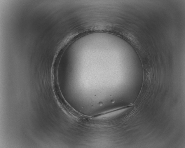 X0000067520678200604211817