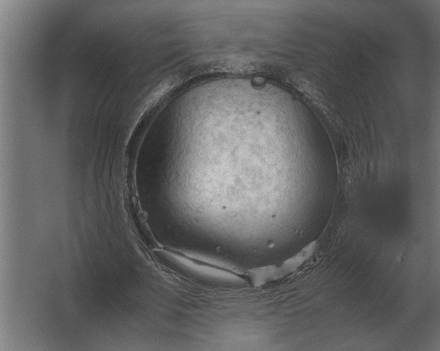 X0000067520679200604211817