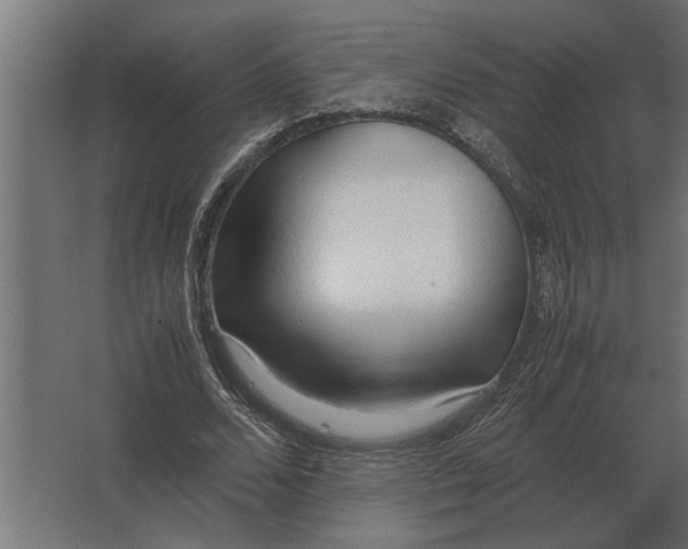 X0000067520680200604211817