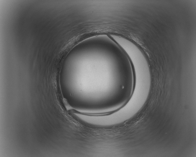 X0000067520681200604211817