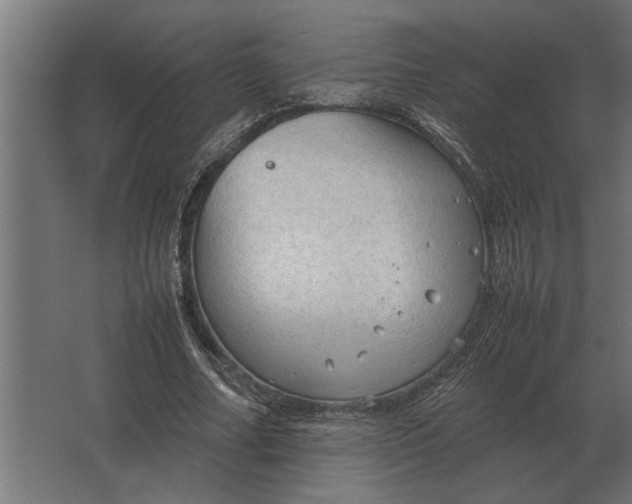 X0000067520682200604211817