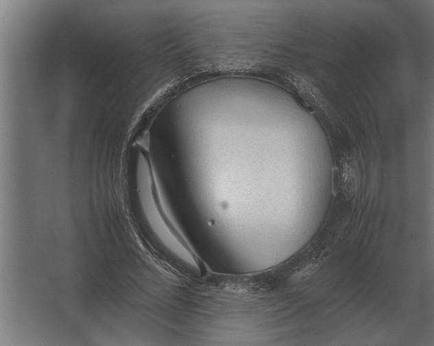 X0000067520684200604211817