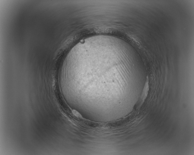 X0000067520687200604211817