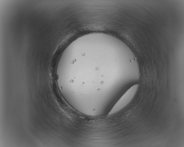 X0000067520688200604211817