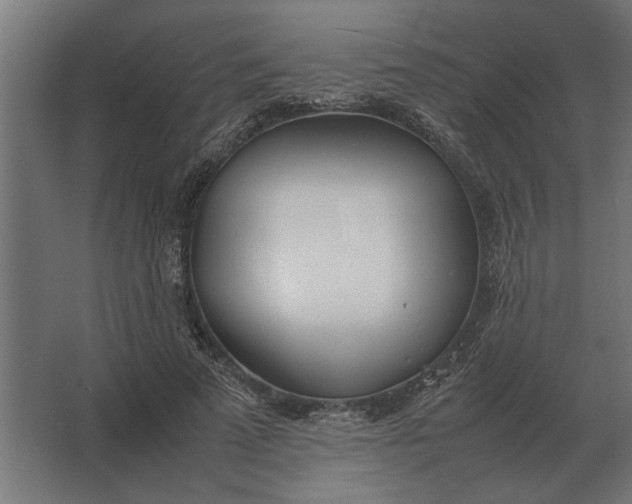 X0000067520689200604211817