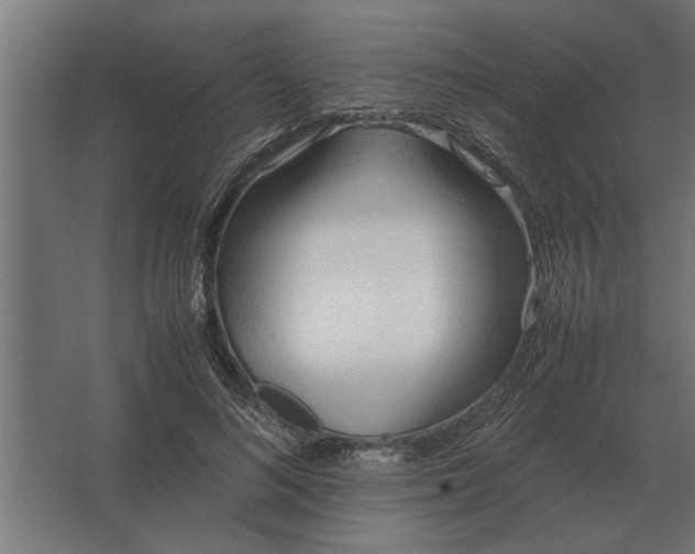 X0000067520692200604211817