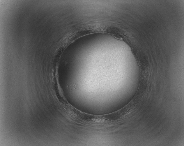 X0000067520693200604211817