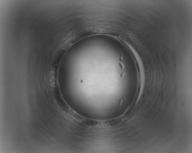 X0000067520696200604211817