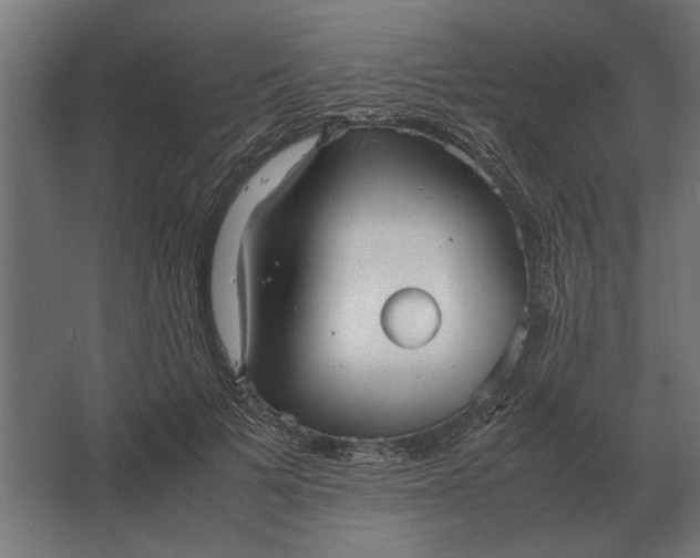 X0000067520697200604211817