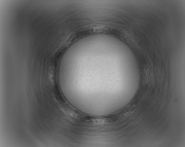 X0000067520698200604211817