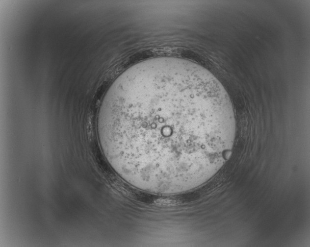 X0000067520699200604211817