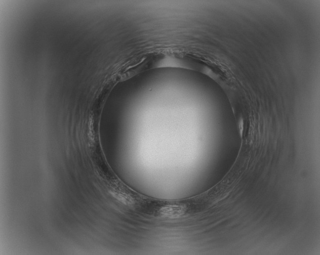 X0000067520700200604211817