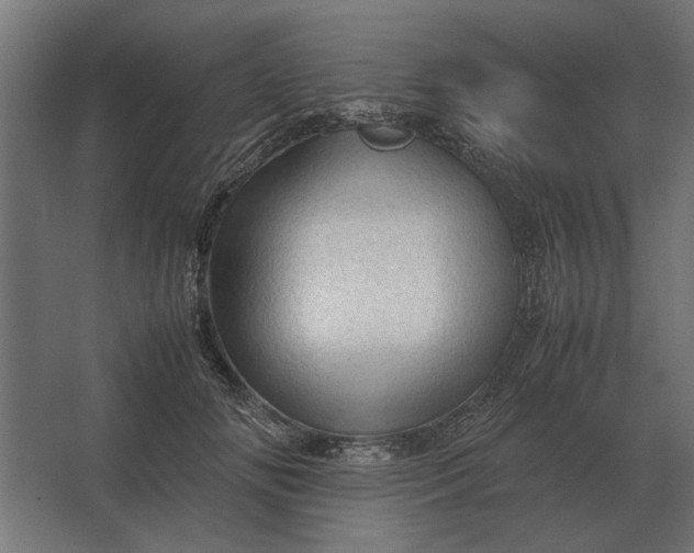 X0000067520702200604211817