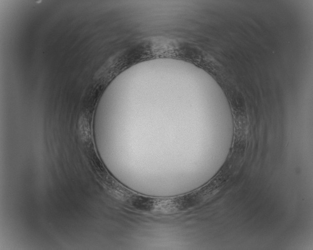 X0000067520705200604211817