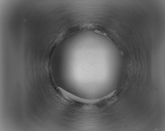 X0000067520708200604211817