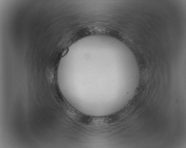 X0000067520709200604211817