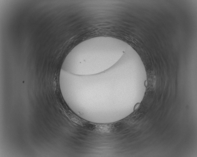 X0000067520710200604211817