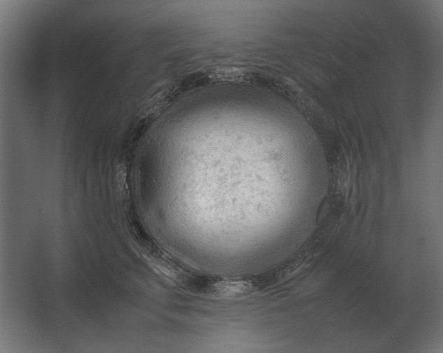 X0000067520711200604211817