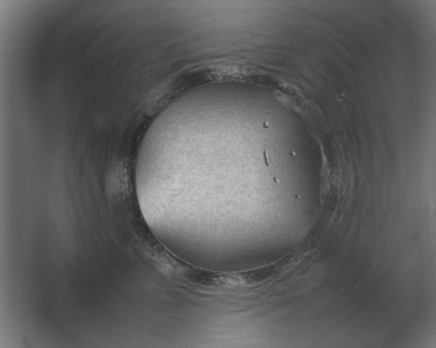 X0000067520715200604211817