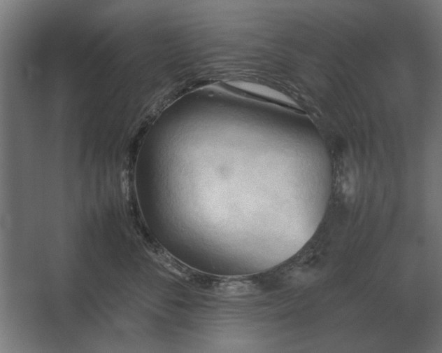 X0000067520716200604211817