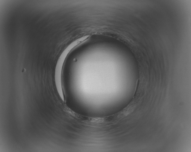 X0000067520720200604211817