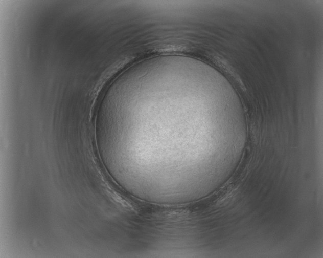 X0000067520721200604211816